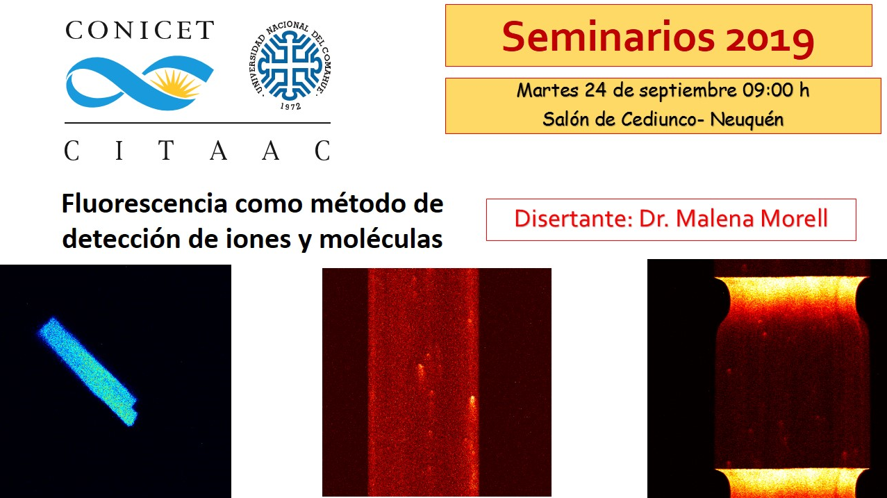 seminario fluorescencia como metodo de deteccion de iones y moleculas
